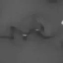 Stika